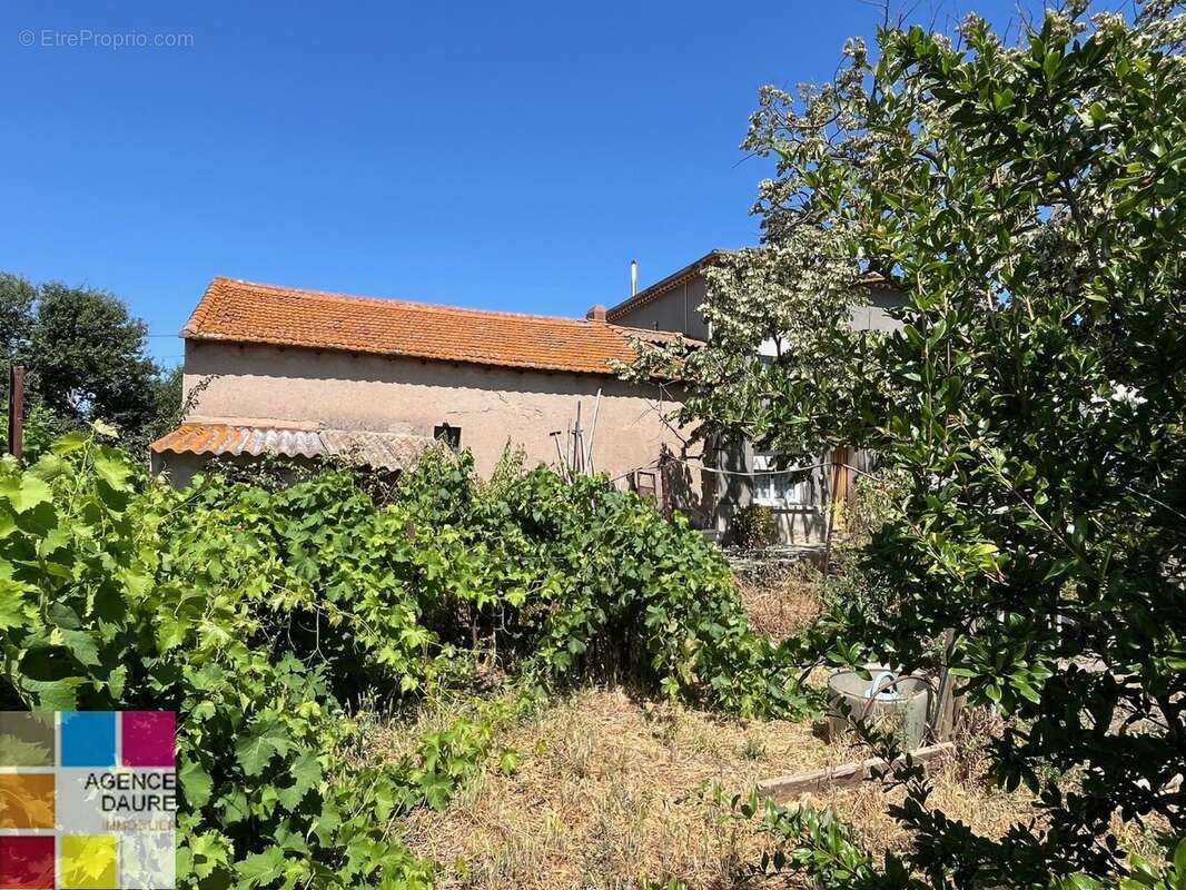 Exclusivité - photo 3