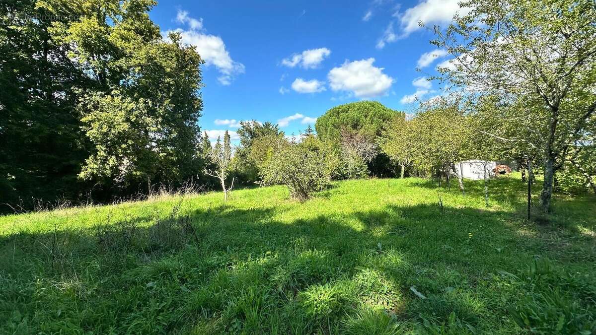 Terrain 1904 m² à Chaniers  - photo 2