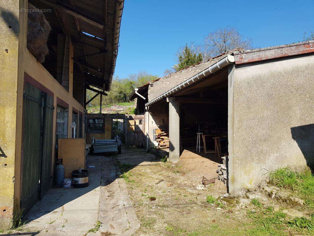 Terrain à SAINT-JULIEN-LES-GORZE