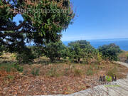 Terrain à SAINT-LEU