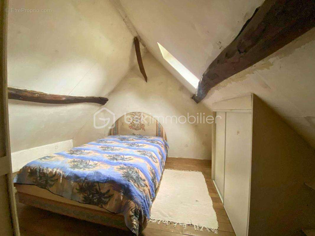 Maison de plain – pied à fort potentiel – Terrain 5000 m² – Dépendance – Grange – Garages – Cave – Piscine – Environnement calme - photo 12