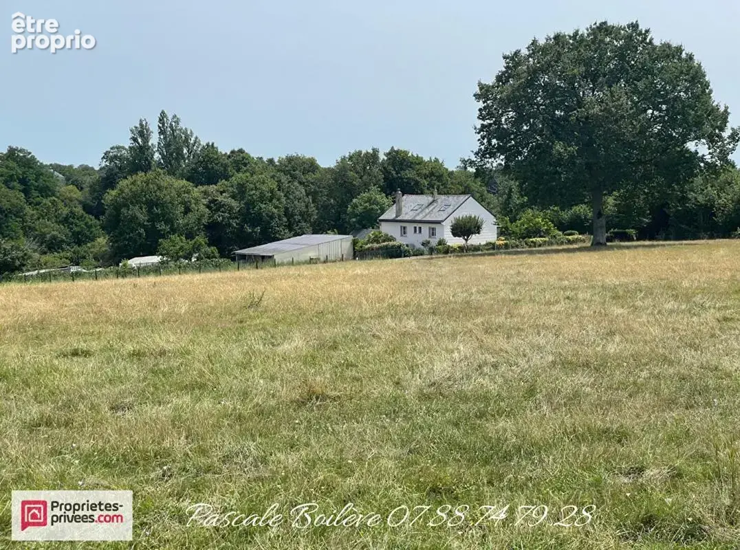 Charmante maison sur sous-sol avec terrain de 16 612 m² (possibilité jusqu'à 7 ha)- MOULIHERNE (49390) - photo 14