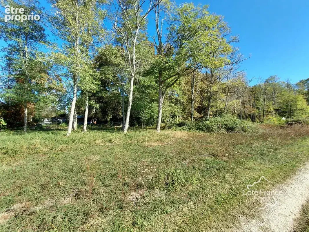 Terrain à LOUCHATS