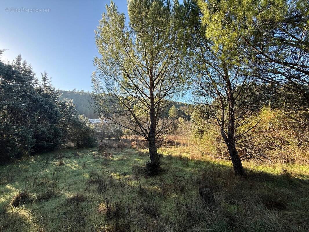 Photo 1 - Maison à LE VAL