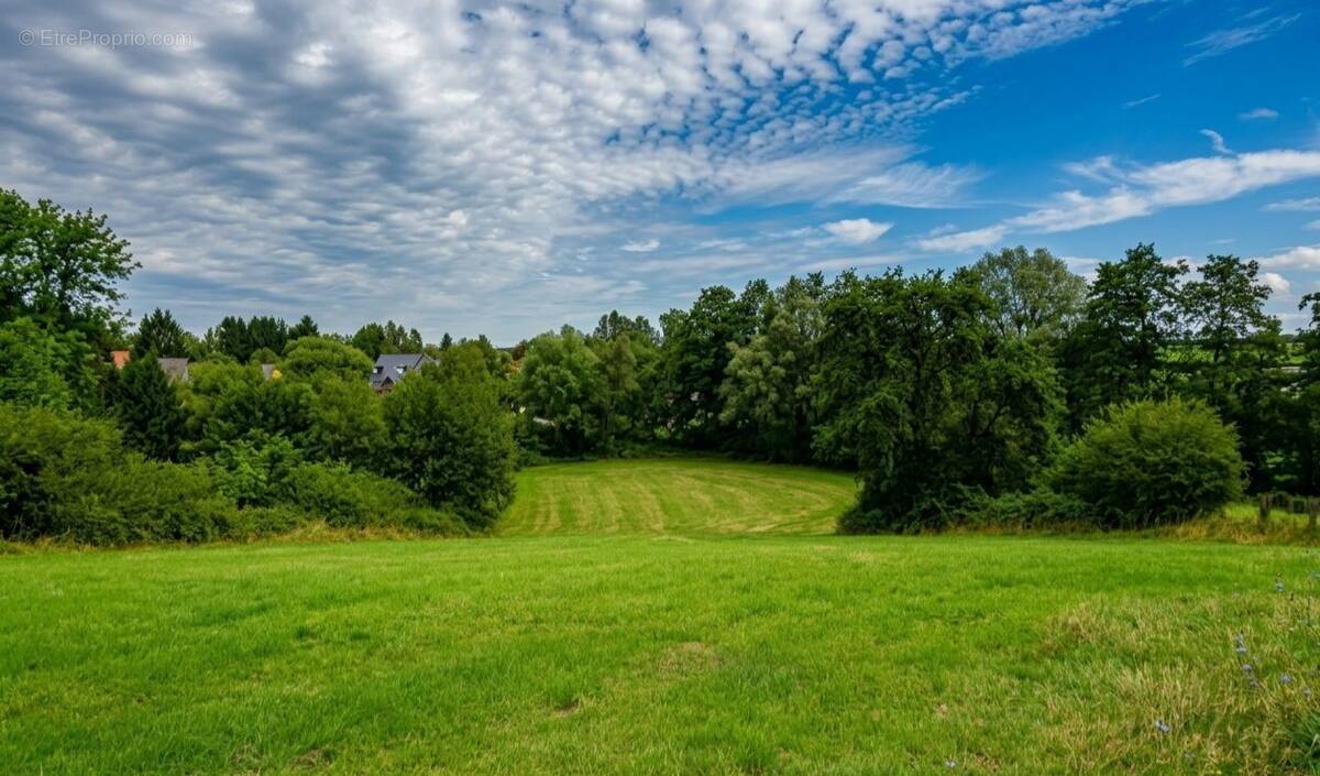 Terrain à AVESNES-SUR-HELPE