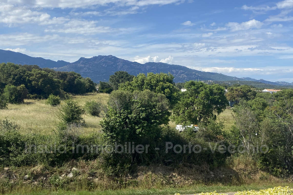 Appartement à PORTO-VECCHIO