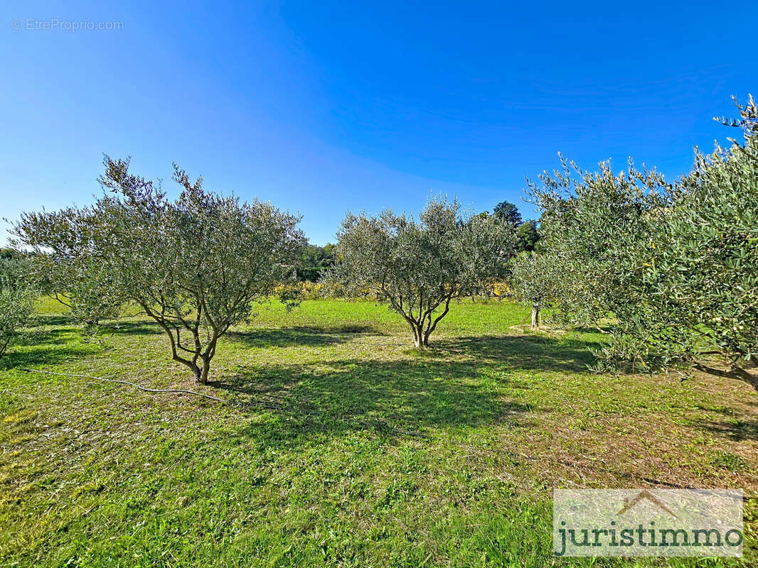 Maison à SAINT-ROMAIN-EN-VIENNOIS