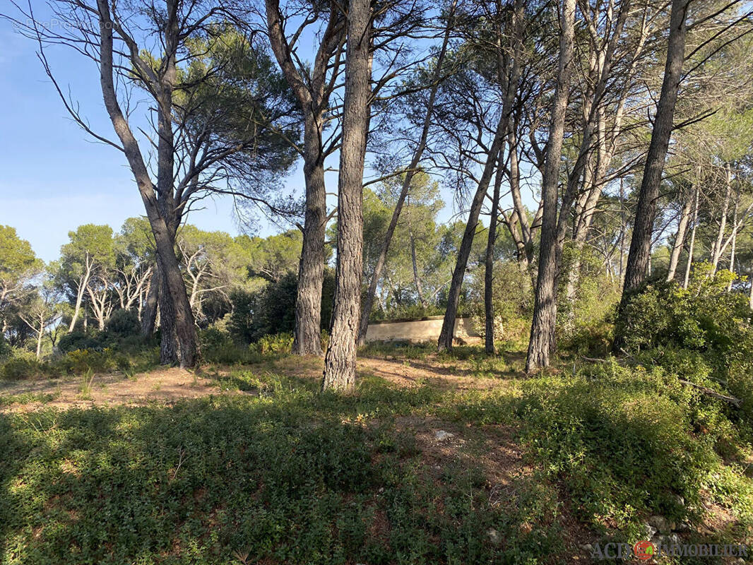 Terrain à VENTABREN