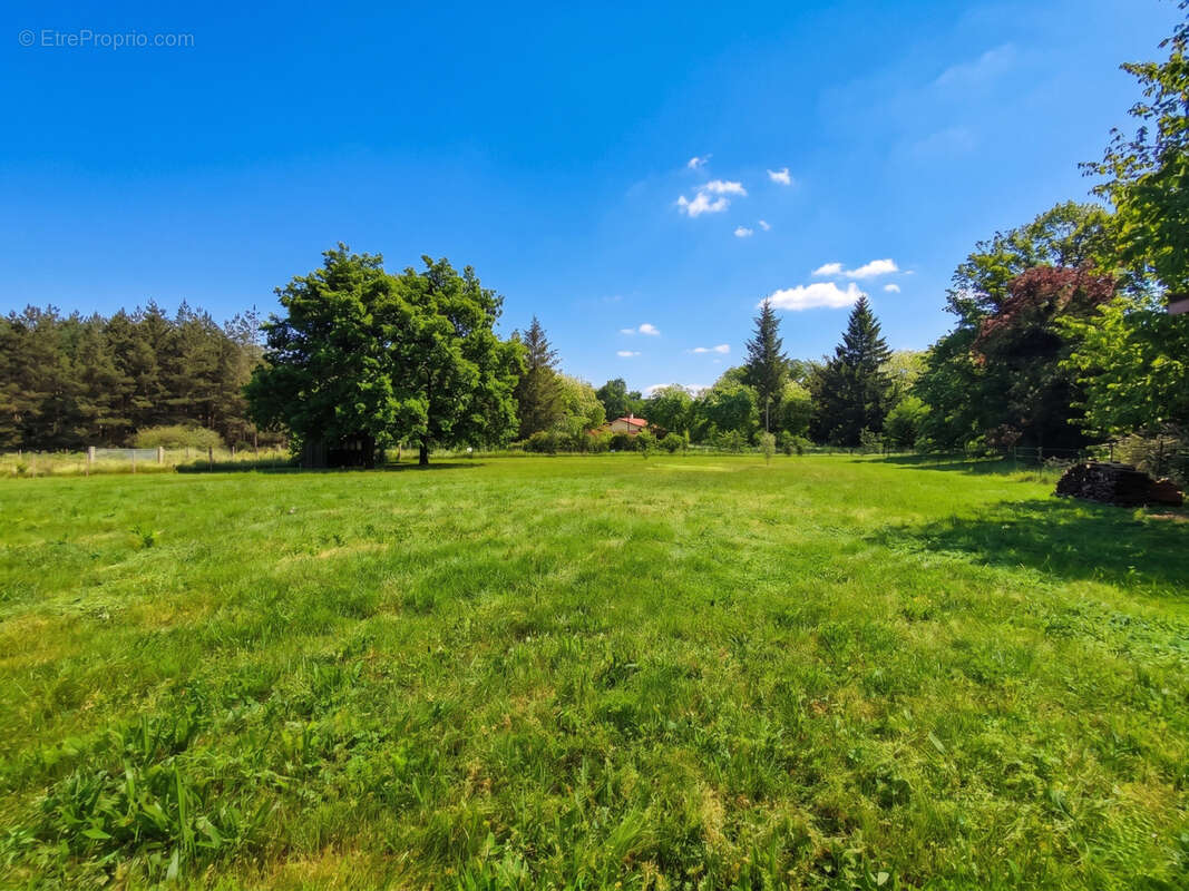 Maison 85 m² à Saint-Pierre-Du-Palais  - photo 14