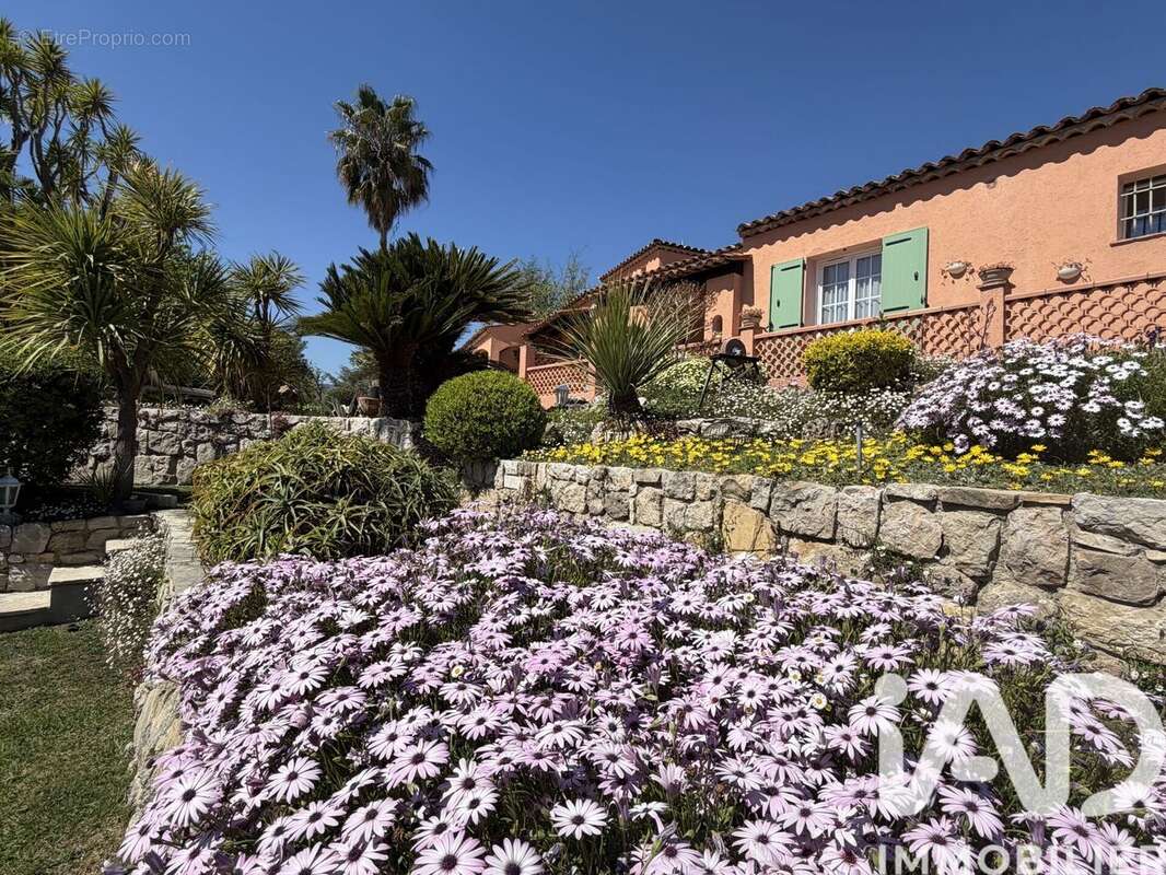 Photo 7 - Maison à OPIO