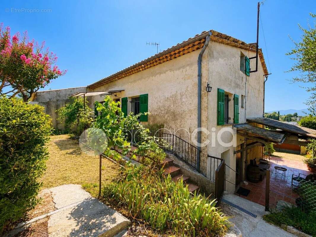 Plan de grasse  maison type mas provencal  232 m2 - photo 6