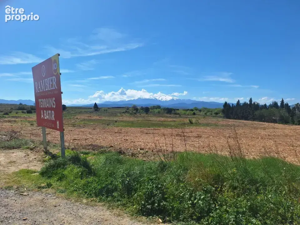 Terrain 239 m² à vendre à Villemolaque (66300) - photo 3