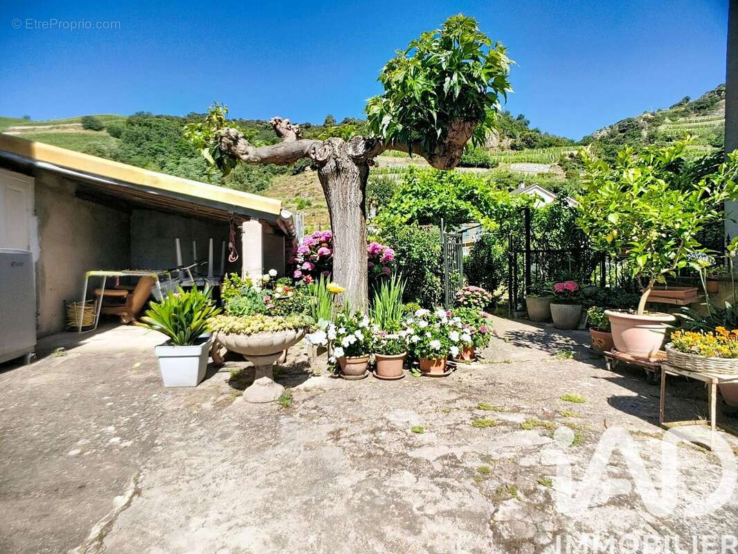 Photo 4 - Maison à TOURNON-SUR-RHONE