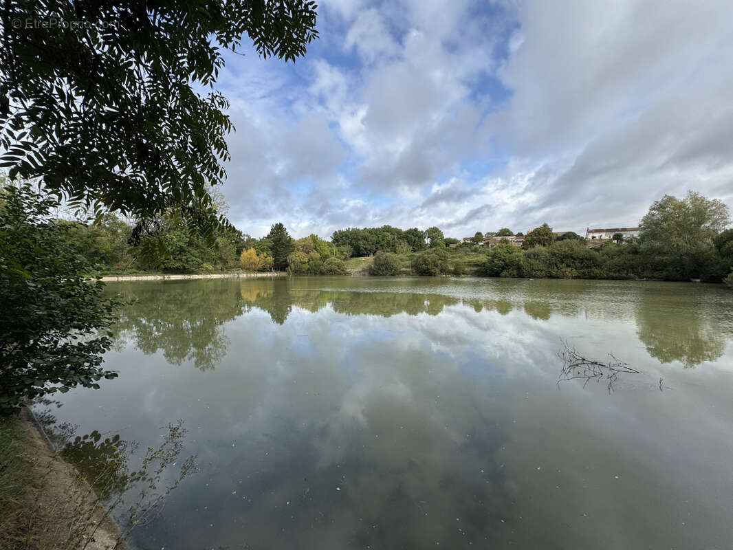 Terrain à CHAPELLE-VIVIERS