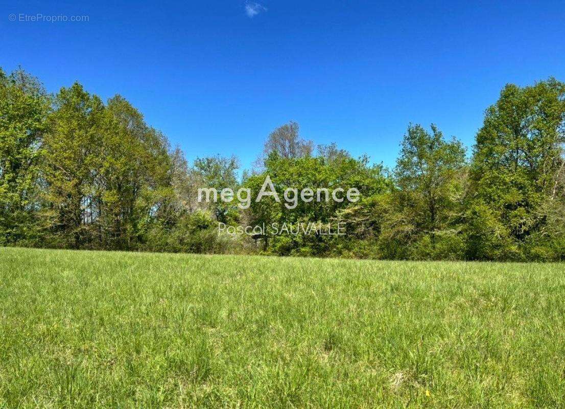 Terrain à SAINT-JEAN-D'EYRAUD