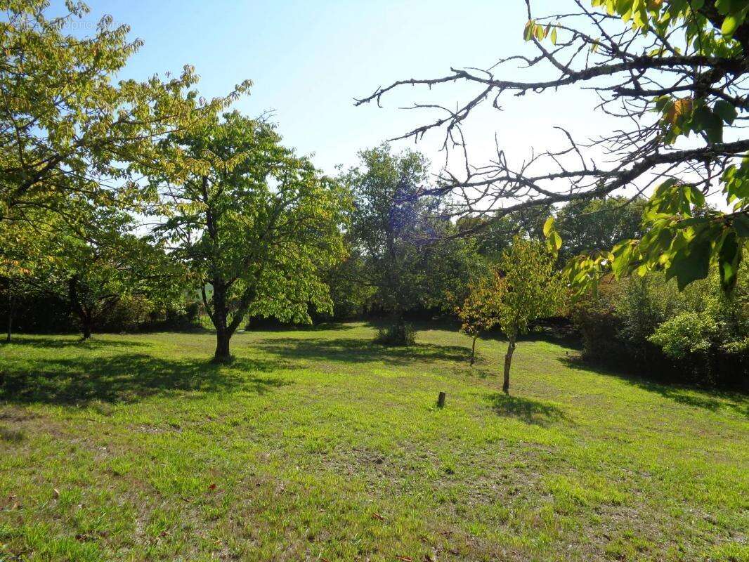 Maison à MONTAGRIER