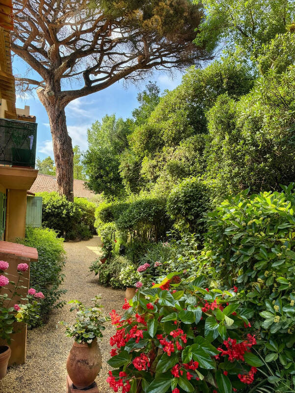 Appartement à SAINT-TROPEZ