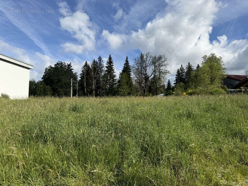 Lamoura , rare terrain constructible de 2 577 m2 - photo 4