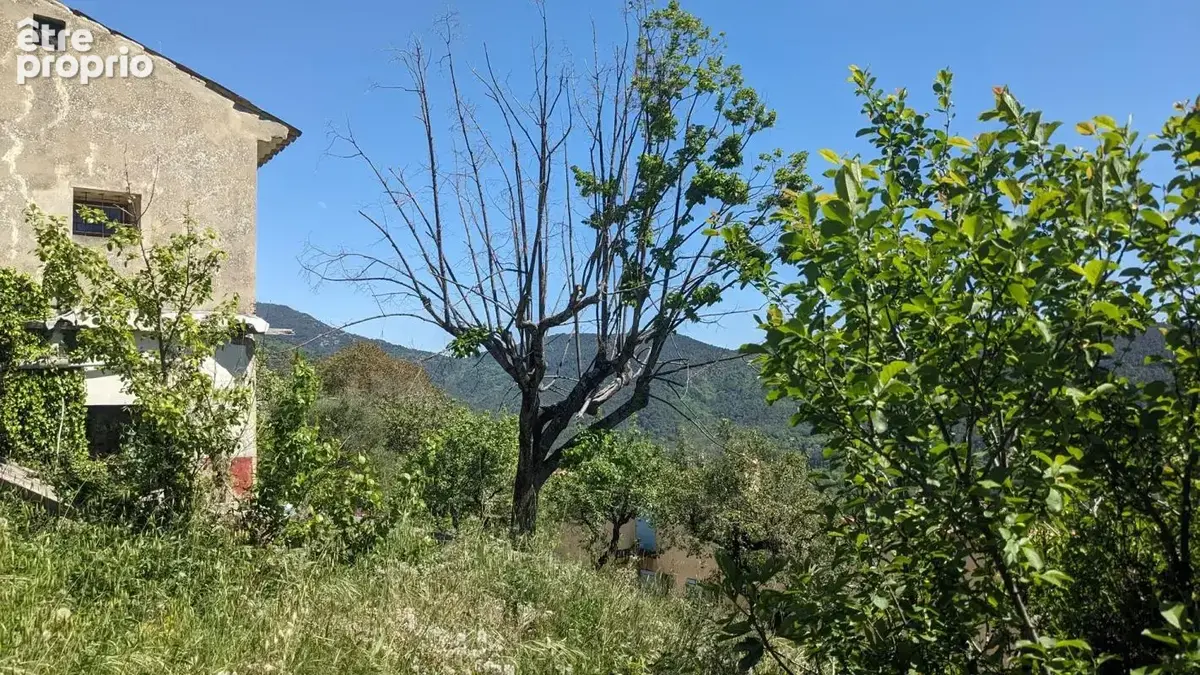 Maison provençale - 40m ² - photo 6