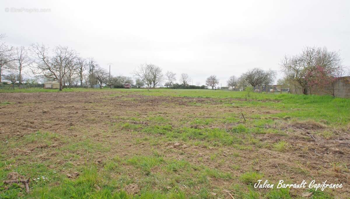 Terrain constructible à vendre de 3386 m² au calme à SAINT JULIEN L'ARS - photo 2