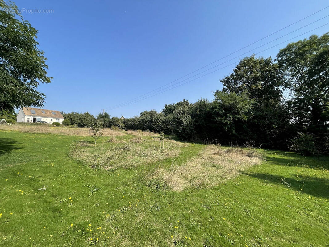 Terrain à LANDES-SUR-AJON