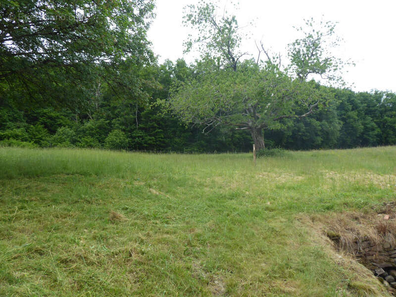 Maison à LES GUERREAUX