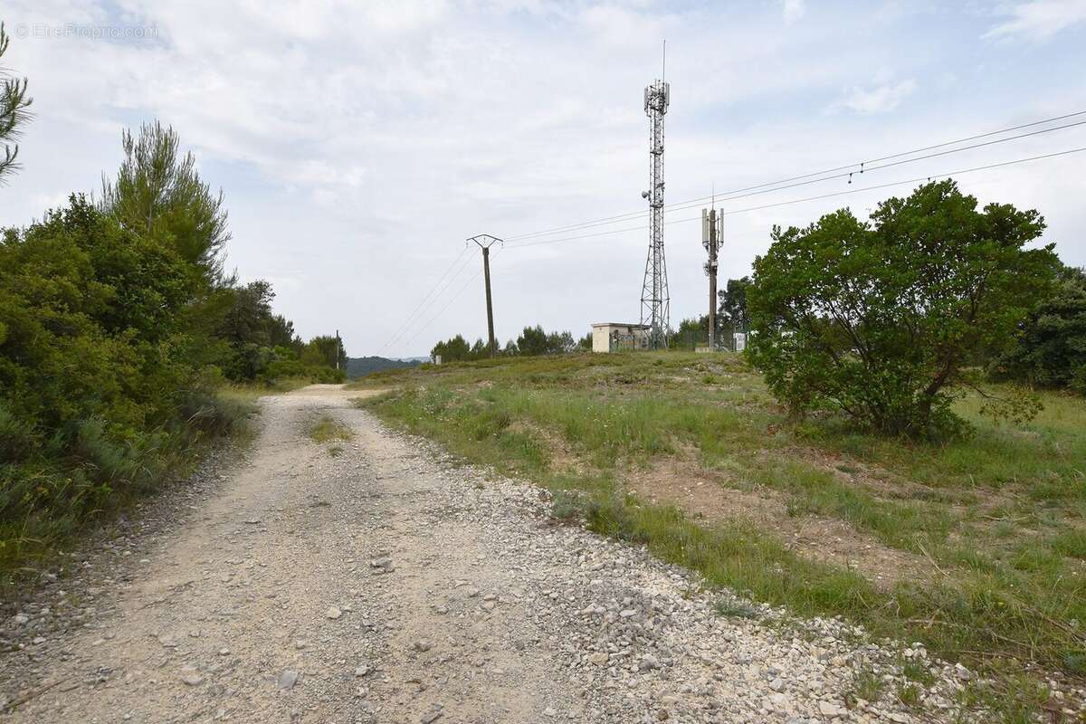 BOS NEGRE - Terrain à VIC-LE-FESQ