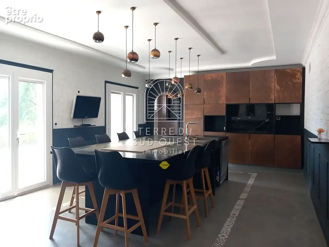 Maison Labastide-Monréjeau 7 pièces 234 m2 - photo 2