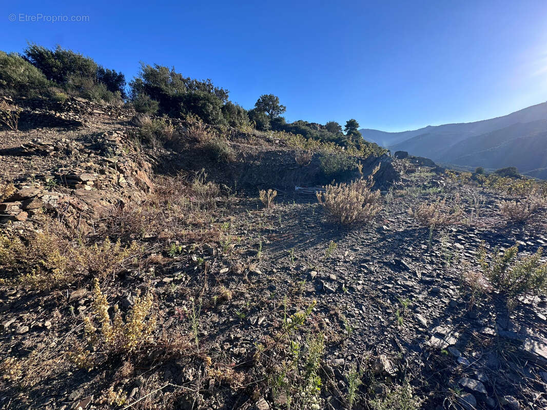 Terrain à COLLIOURE