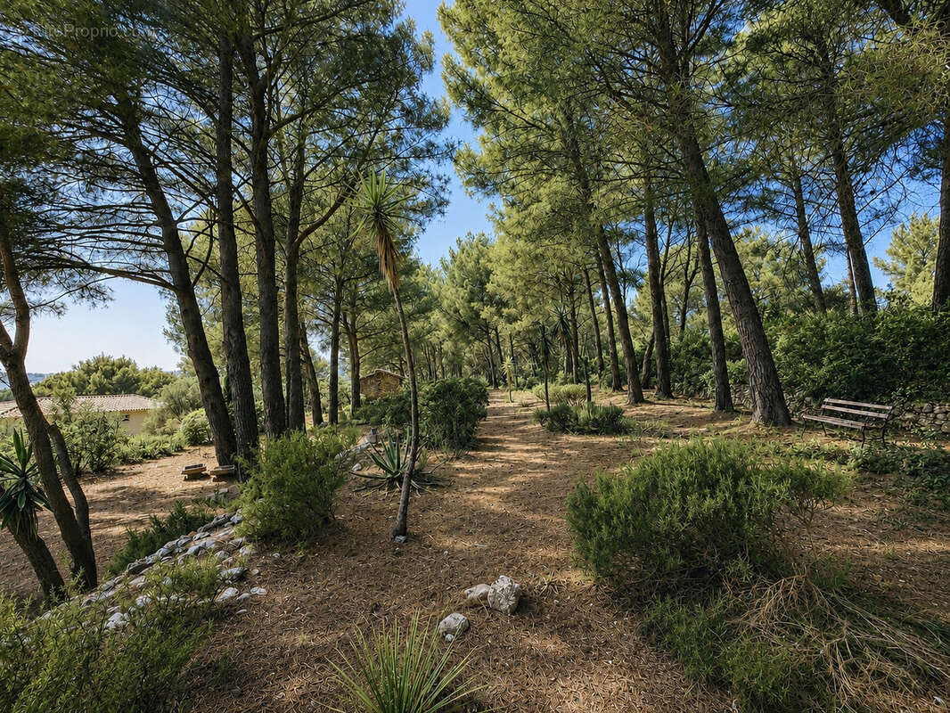 Propriété d'exception 226m2+ extension possible   Environnement rare   Sanary-sur-Mer - photo 13