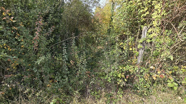 Terrain à BEAUGENCY