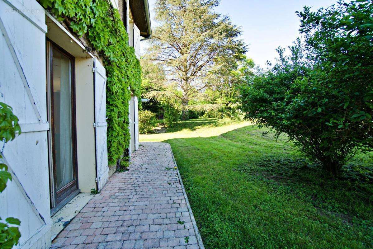 Maison à MESSIMY-SUR-SAONE