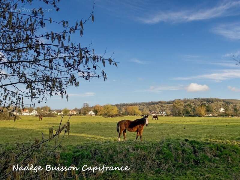 Appartement à HOULGATE