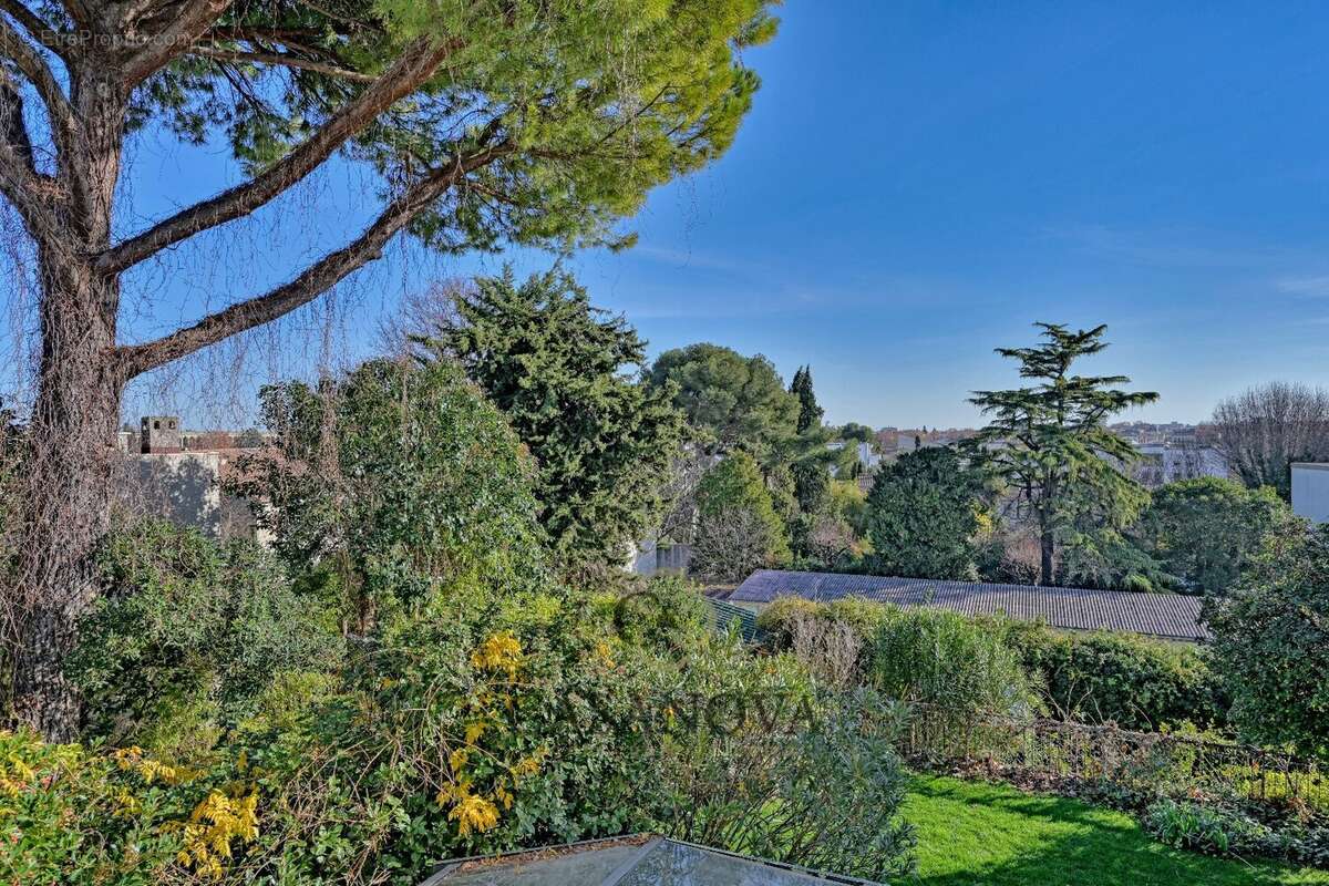 Maison à MONTPELLIER