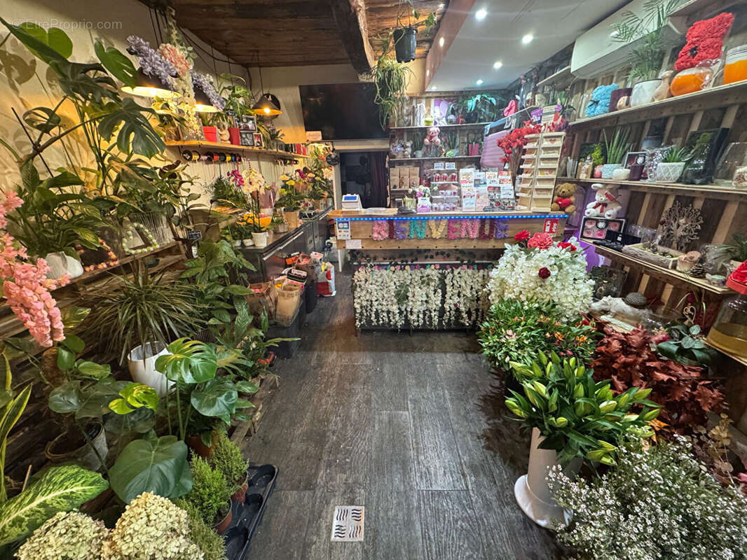 Autre à CAGNES-SUR-MER