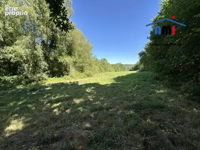 Maison 7 pièces 249 m² à vendre à Longny-Au-Perche (61290) - photo 8