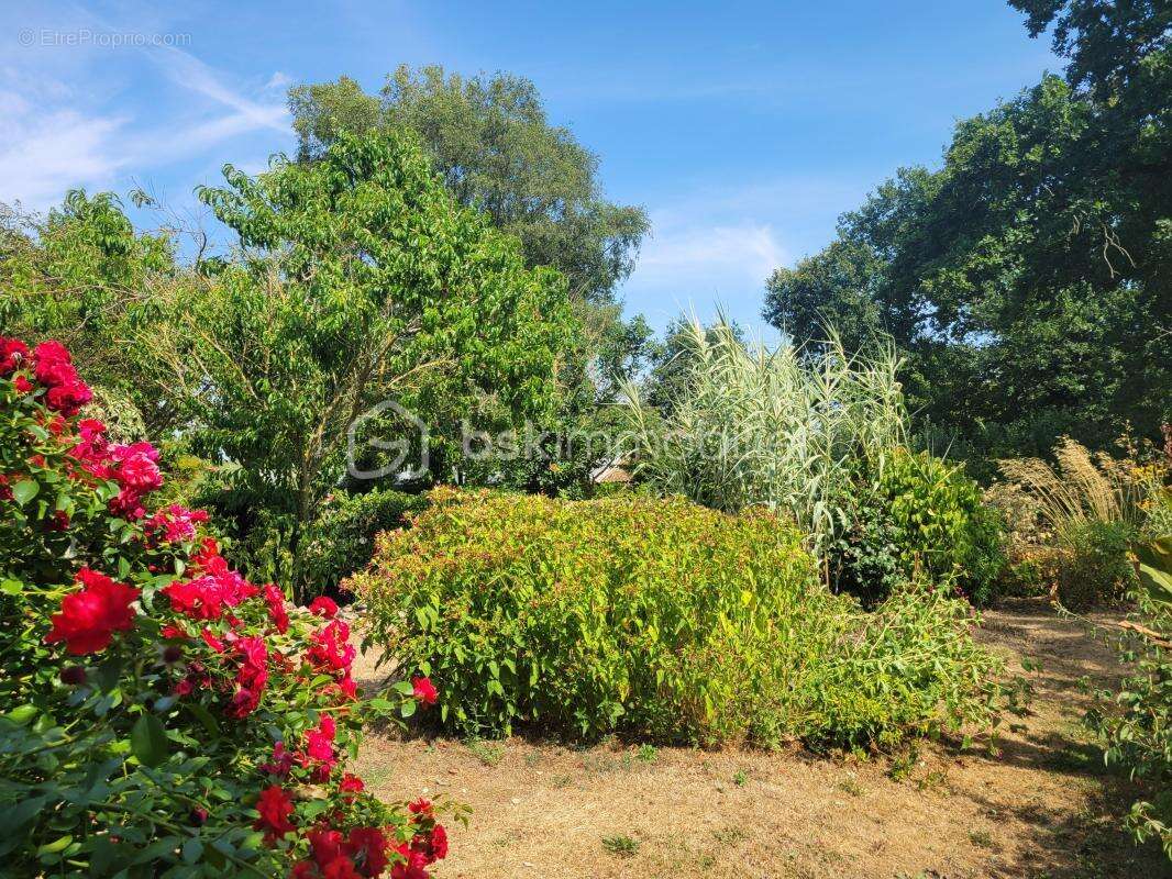 Maison en pierre de caractère avec grand terrain, dépendances et jardin nourricier - photo 20