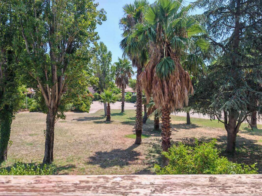 Appartement 2 pièces de 23.44m² à Saint-Cyprien - photo 9