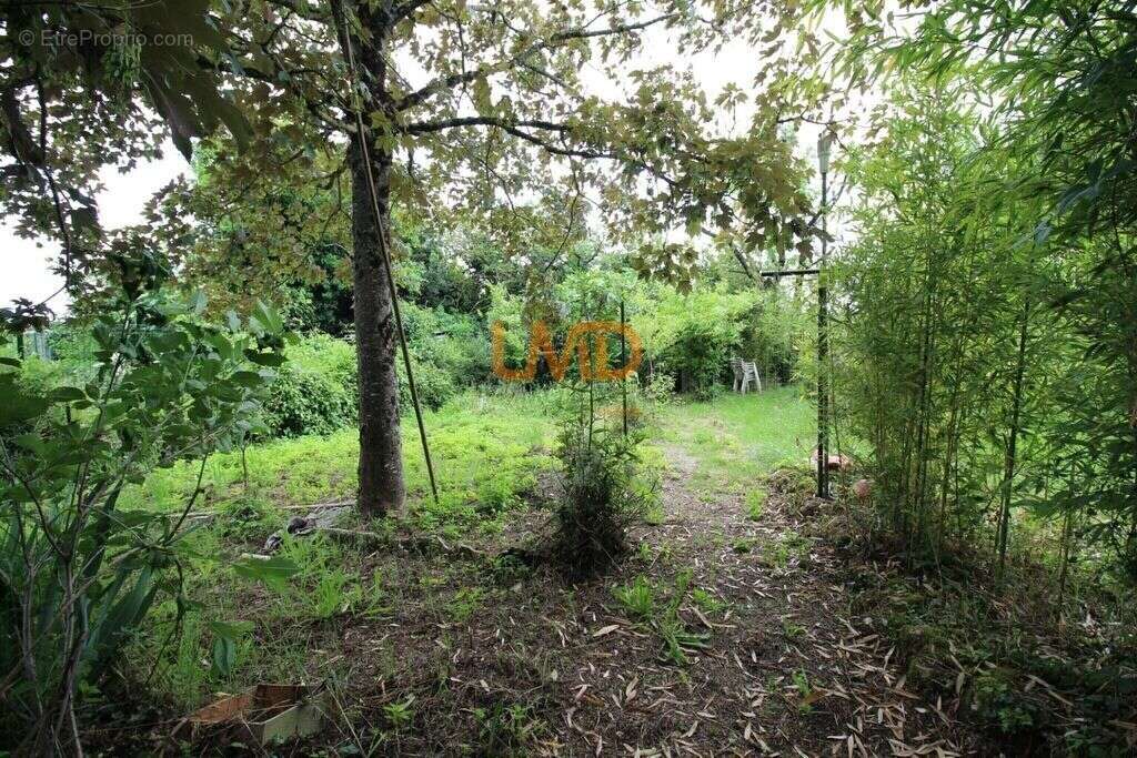 Maison de plain-pied avec jardin - photo 19