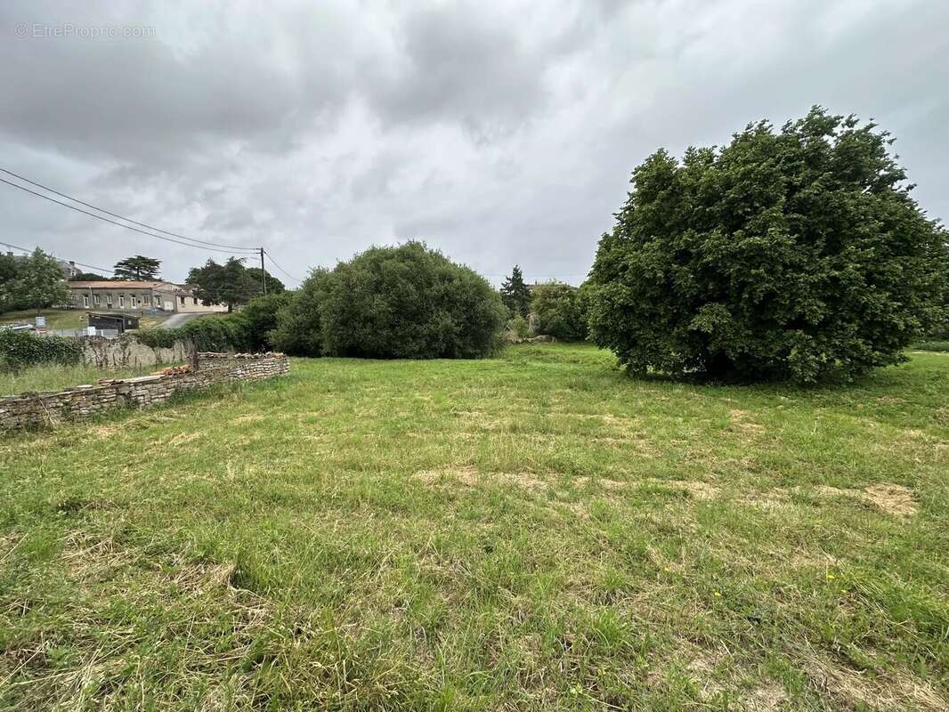 Terrain à SAINTE-VERGE