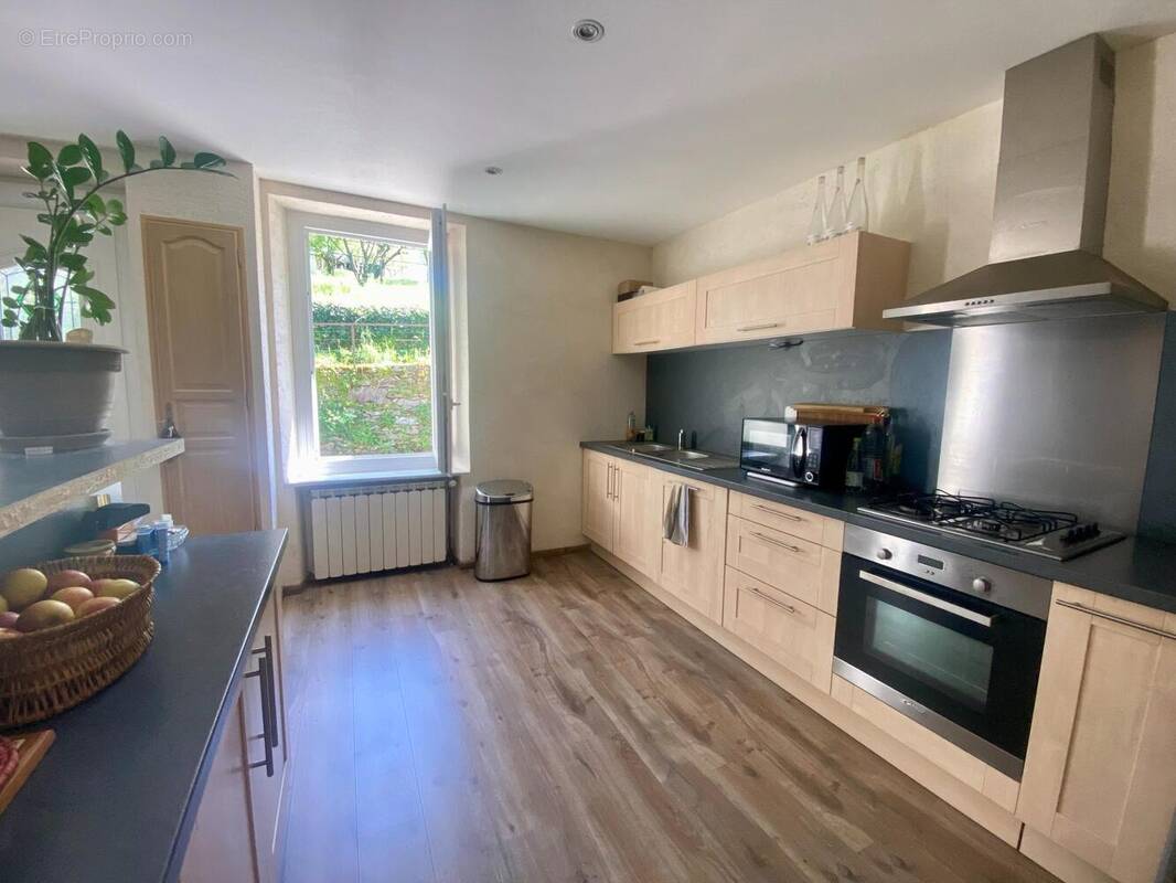 Photo 1 - Maison à SAINT-AMANS-VALTORET