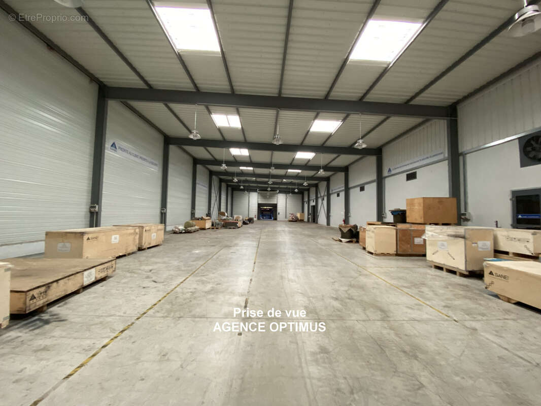 A VENDRE - Local professionnel avec vaste terrain clos à Villeneuve-la-Guyard (89) - photo 6