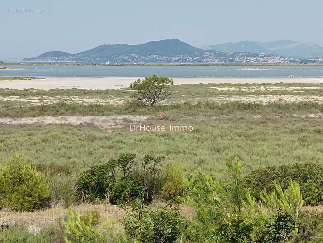 Commerce 850 m² à Hyeres  - photo 14