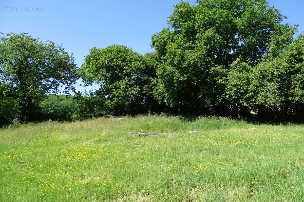 Maison à SAINT-PIERRE-SUR-ORTHE