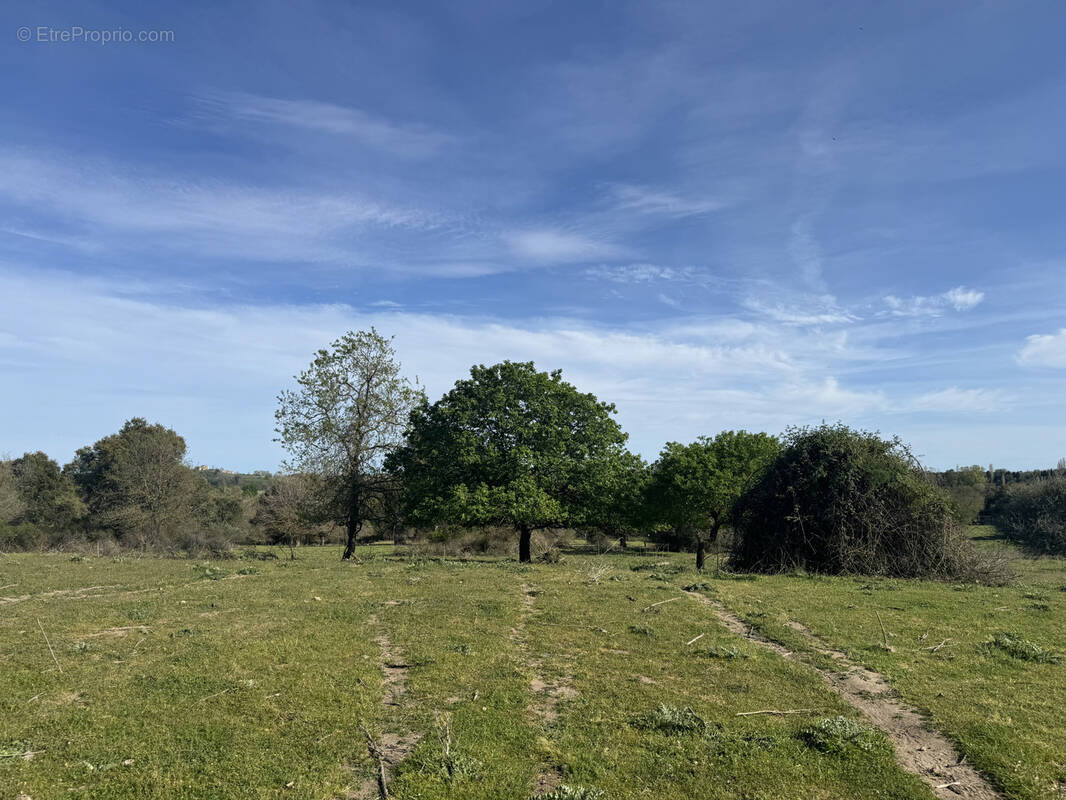 Terrain à ALERIA