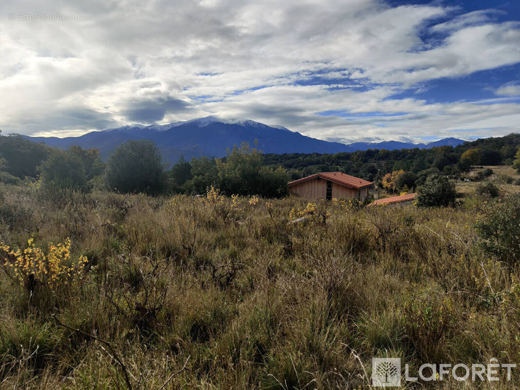 Terrain à ARBOUSSOLS