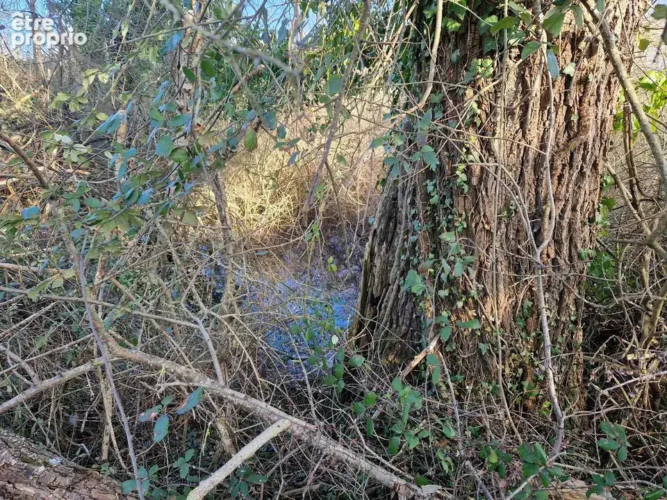 Maison à vendre à Saint-Pourcain-Sur-Sioule (03500) - photo 7