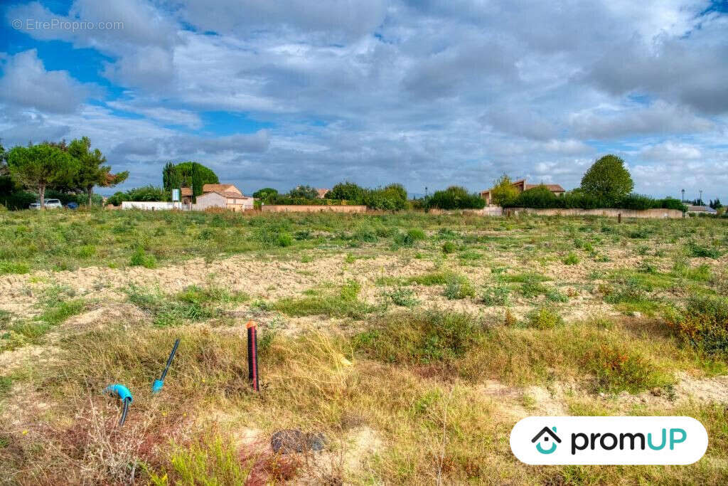 Terrain à VILLESEQUELANDE