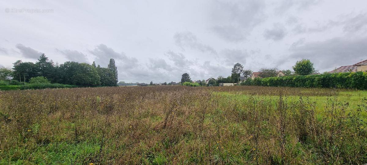 Terrain à COURLON-SUR-YONNE