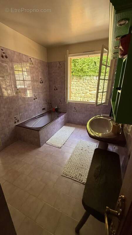 Maison à VILLEDIEU-LE-CHATEAU